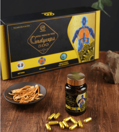 Đông trùng hạ thảo Cordyceps 500