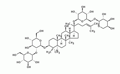 Giải mã ginsenoside: Công dụng và thành phần