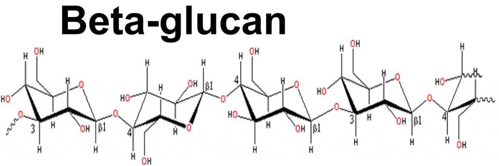 beta glucan