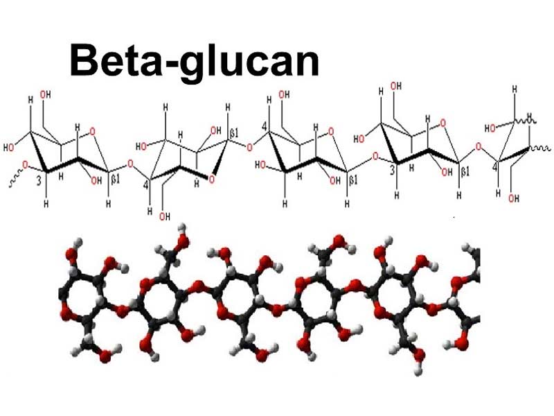 Beta glucan