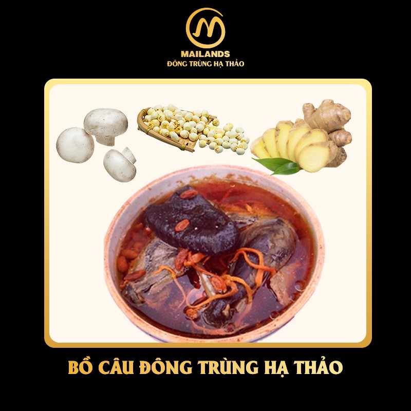 Bồ câu nấu với đông trùng hạ thảo