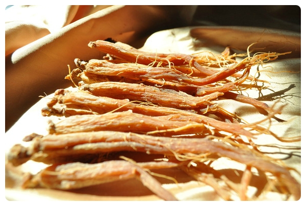 Bí Quyết Bảo Quản Sâm Tươi Và Sâm Khô Đúng Cách Nhất