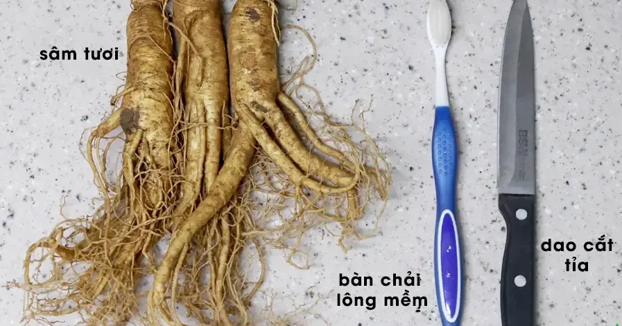 Cách rửa sâm tươi đúng chuẩn không mất dưỡng chất
