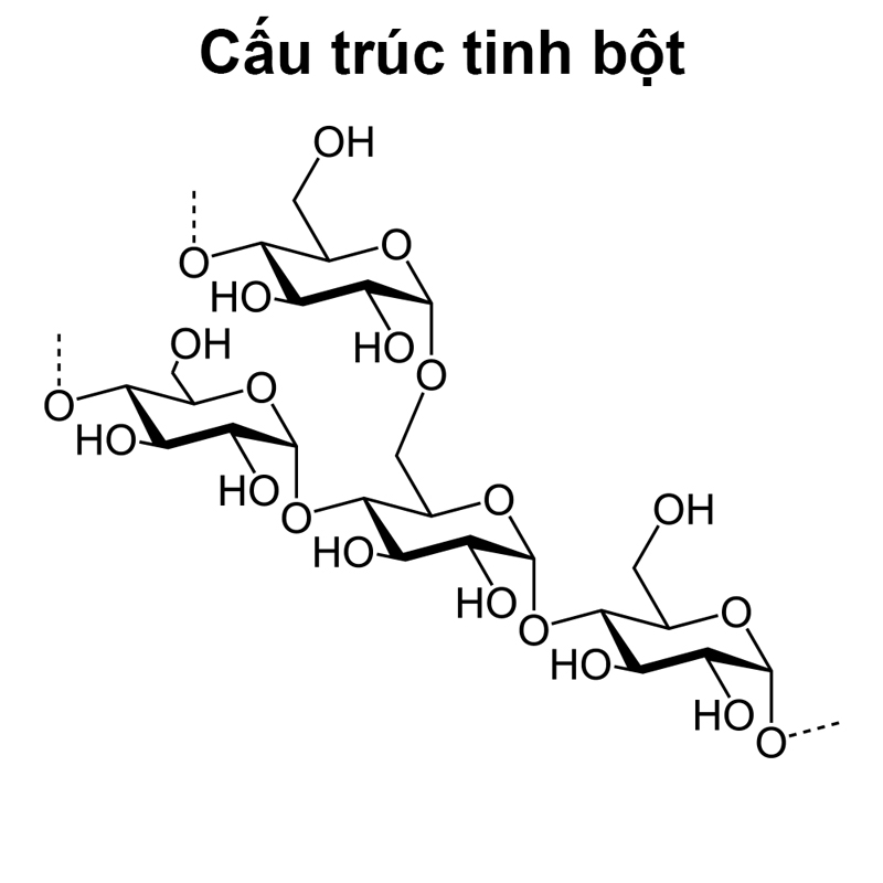 cau-truc-tinh-bot Cấu trúc của tinh bột