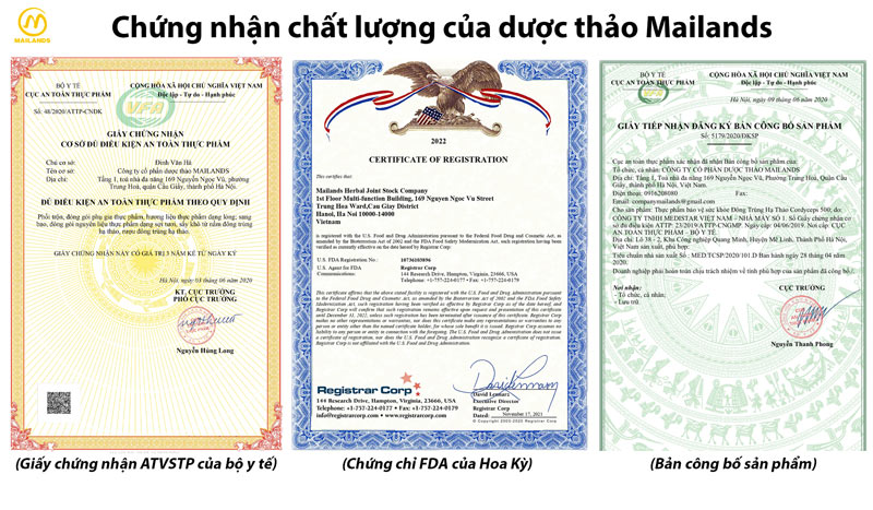 Chứng chỉ chất lượng sản phẩm Mailands