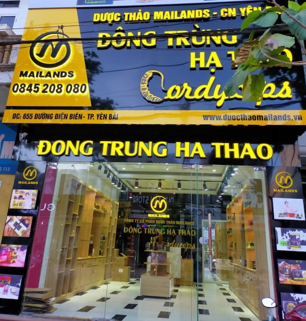 Cửa hàng đông trùng hạ thảo