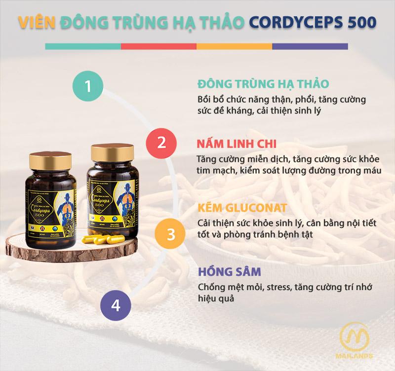 Cordyceps 500 Đông trùng hạ thảo