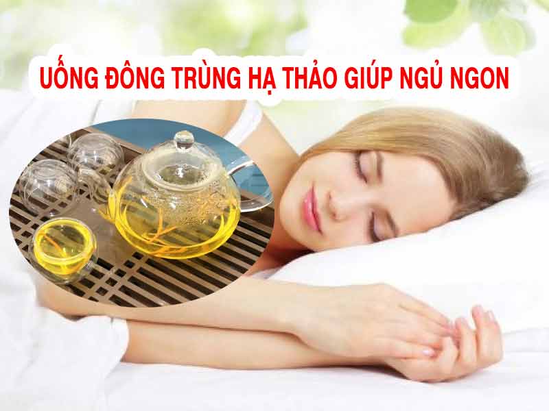 Giấc Ngủ Ngon Với Đông Trùng Hạ Thảo: Công Dụng, Giá Bán