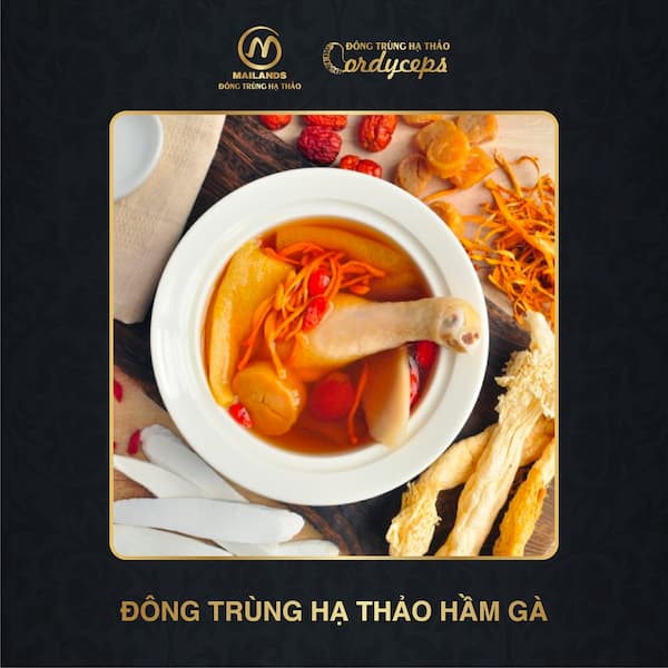 đông trùng hạ thảo hầm gà