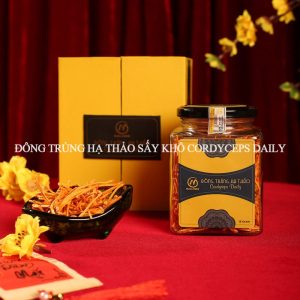 Đông trùng hạ thảo Cordyceps daily khô trong bộ quà tết Anh Lành