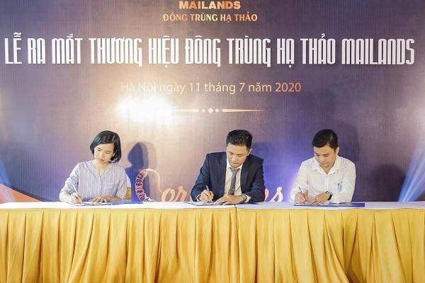 Đông trùng hạ thảo