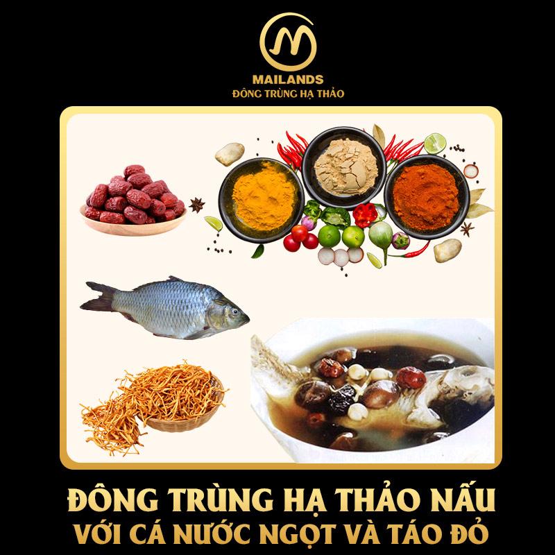 Canh cá nấu với Đông trùng hạ thảo