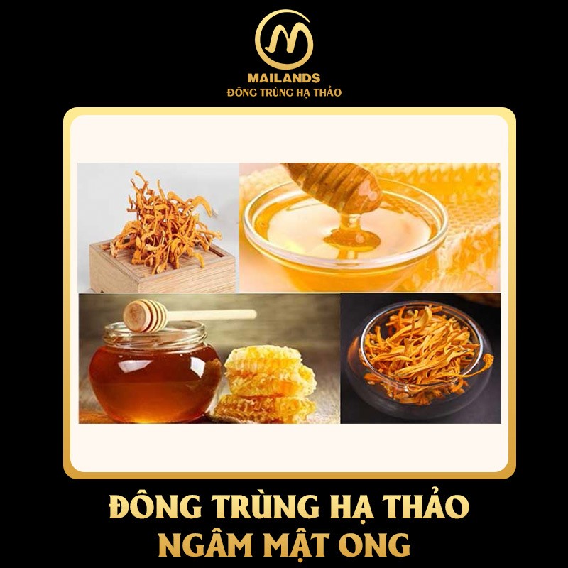 Hướng dẫn chế biến mật ong ngâm đông trùng hạ thảo