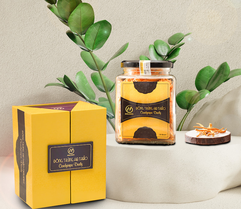 dong-trung-ha-thao-nguyen-soi-cordyceps-daily Đông trùng hạ thảo nguyên sợi Cordyceps Daily