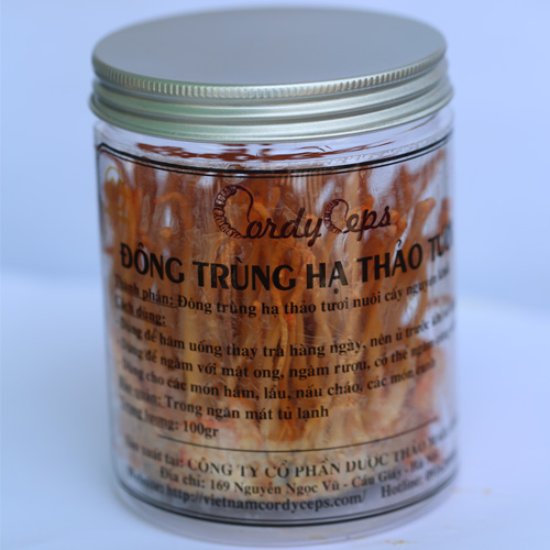 Đông trùng hạ thảo sinh khối tươi