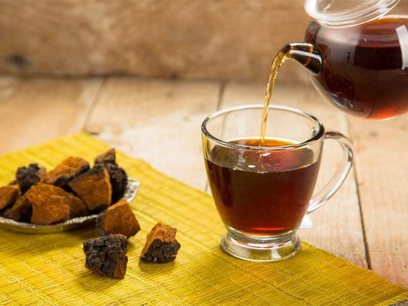 Dùng nấm chaga sắc nước uống