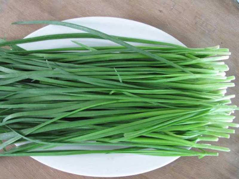 he Các loại thảo mộc - hẹ