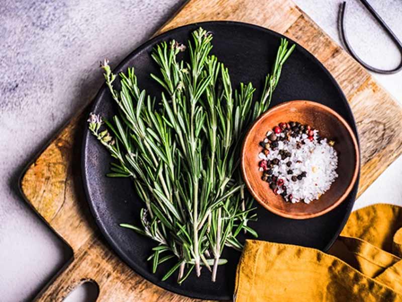 huong-thao Các loại thảo mộc - Hương thảo