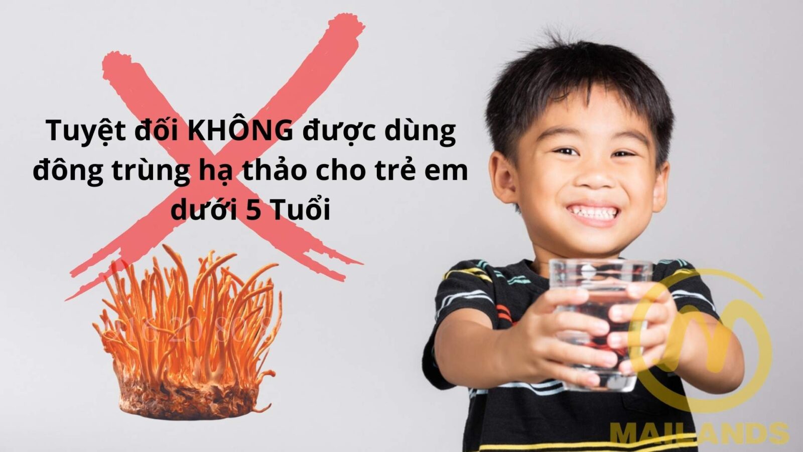 Trẻ em dưới 5 tuổi không được dùng đông trùng hạ thảo