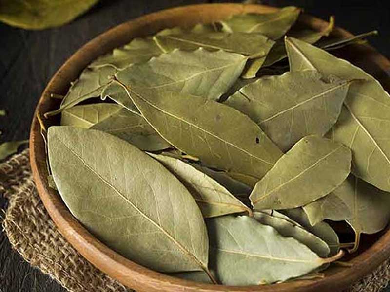 la-nguyet-que Lá nguyệt quế