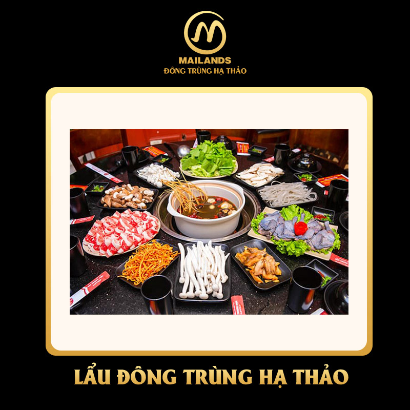 Lẩu đông trùng hạ thảo