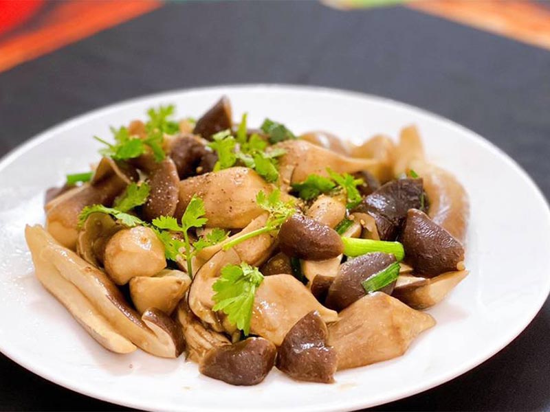 loi-ich-cua-nam-moi-1 Lợi ích của nấm mối tự nhiên