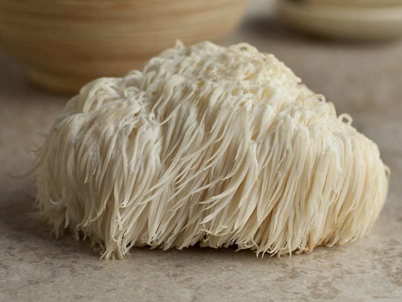 nam-bom-su-tu Nấm bờm sư tử