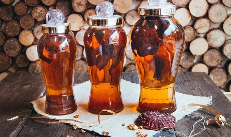 Nấm linh chi cổ cò tác dụng và cách dùng hiệu quả