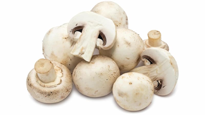 Nấm mỡ - Button Mushroom