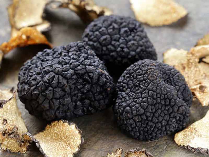 nam-truffle Nấm Truffle