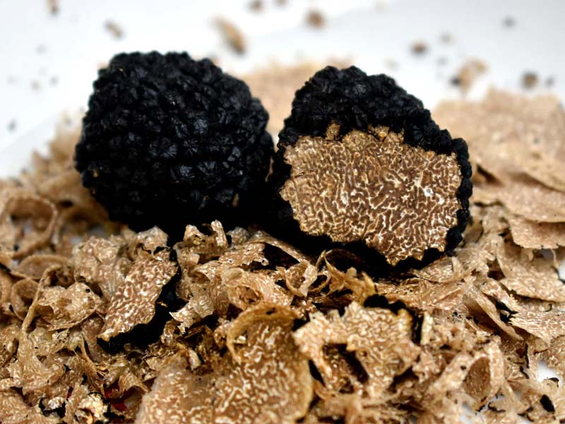 Giá của Nấm Truffle đen là bao nhiêu?