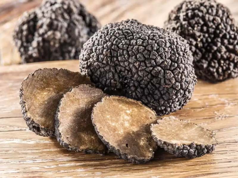 Nấm Truffle là gì? Nấm Truffle đen