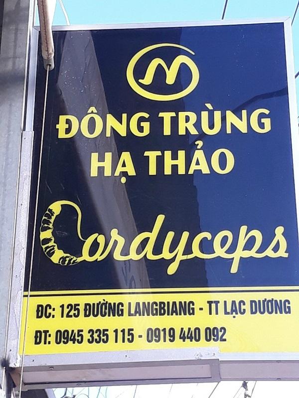 Tưng bừng đón chào khai trương showroom Đông trùng hạ thảo Lâm Đồng