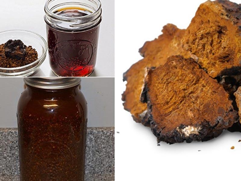 Nấm chaga ngâm rượu