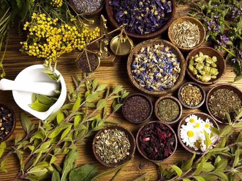 nhung-luu-y-khi-dung-tra-thanh-loc-co-the Những lưu ý khi sử dụng trà thanh lọc cơ thể