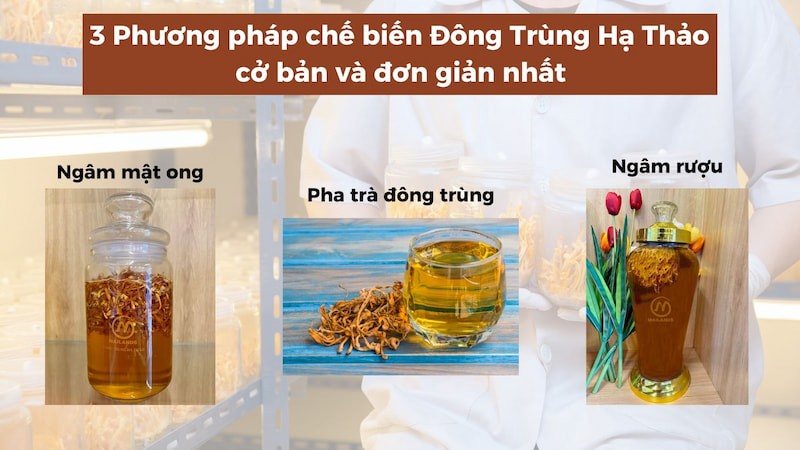 Các bước chế biến đông trùng hạ thảo cơ bản và đơn giản