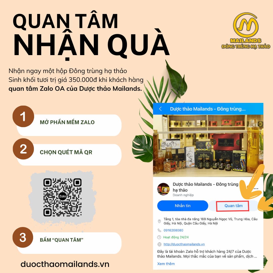 Quan tâm Mailands trên zalo nhận quà đông trùng hạ thảo sinh khối tươi