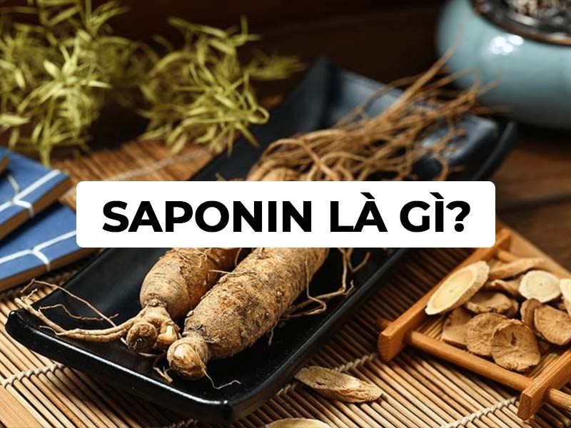 Saponin là gì? Tác dụng của Saponin trong nhân sâm