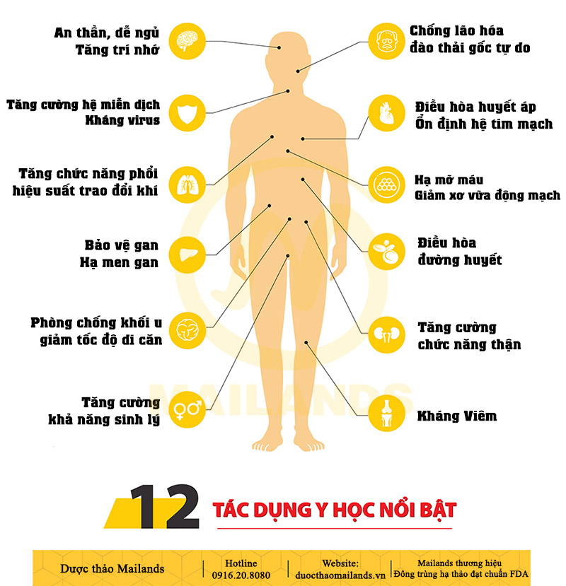 Tác dụng của ĐTHT