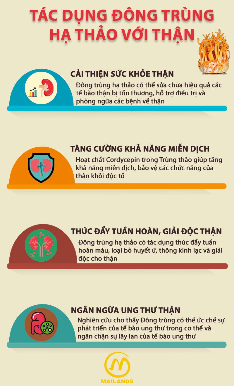 Lợi ích của Đông trùng hạ thảo với thận