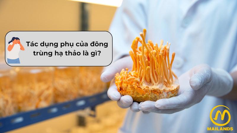 Tác dụng phụ của đông trùng hạ thảo là gì?