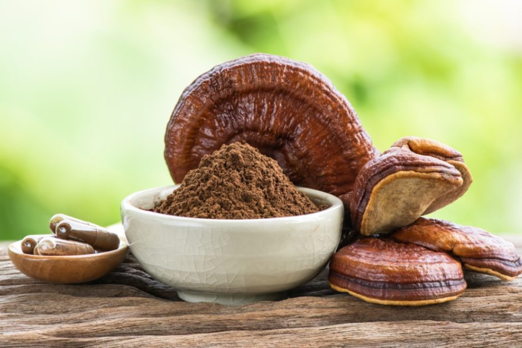 7 Tác Dụng Phụ Của Nấm Linh Chi Và Ai Không Nên Dùng