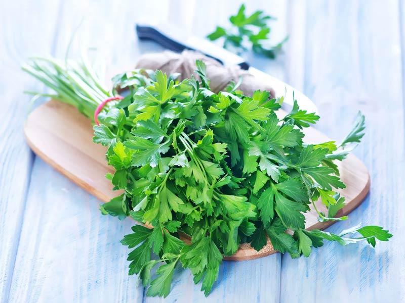 Parsley (Mùi tây) - Thảo mộc là gì?