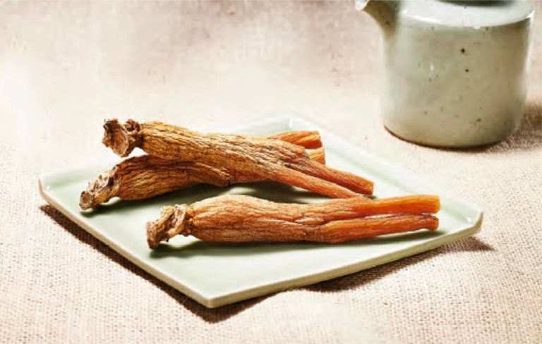 Thiên sâm Hàn Quốc là gì, công dụng và cách phân biệt
