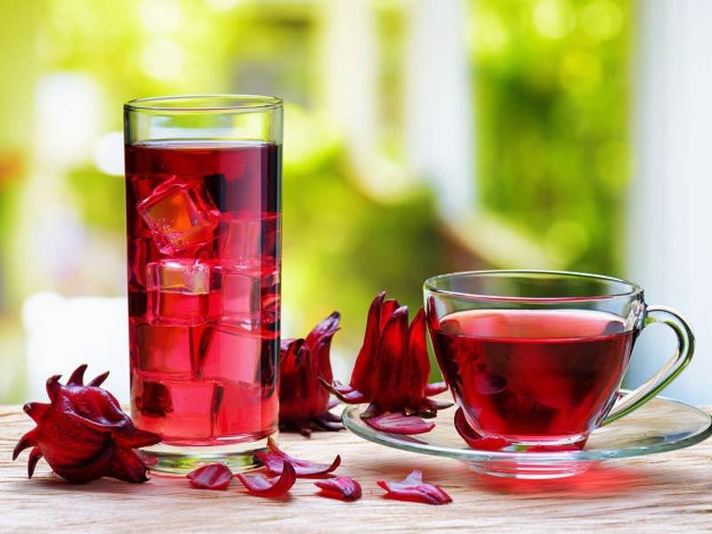 tra-atiso Trà thanh lọc cơ thể - Trà atiso