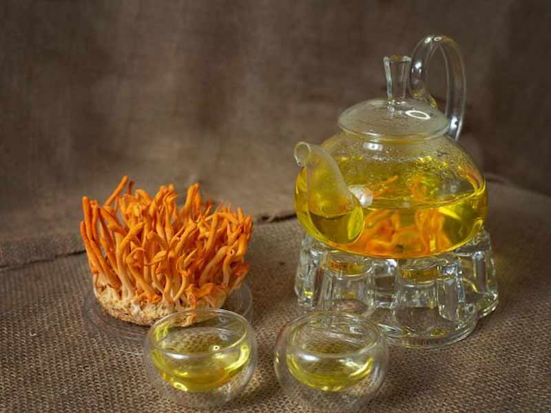 tra-dong-trung-ha-thao-2 Trà Đông trùng hạ thảo