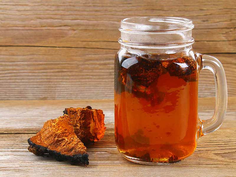 Trà nấm Chaga