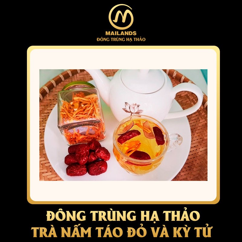 Trà đông trùng hạ thảo với táo đỏ và kỷ tử