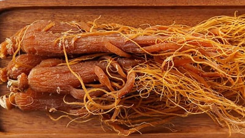 Trẻ uống hồng sâm có bị dậy thì sớm không?