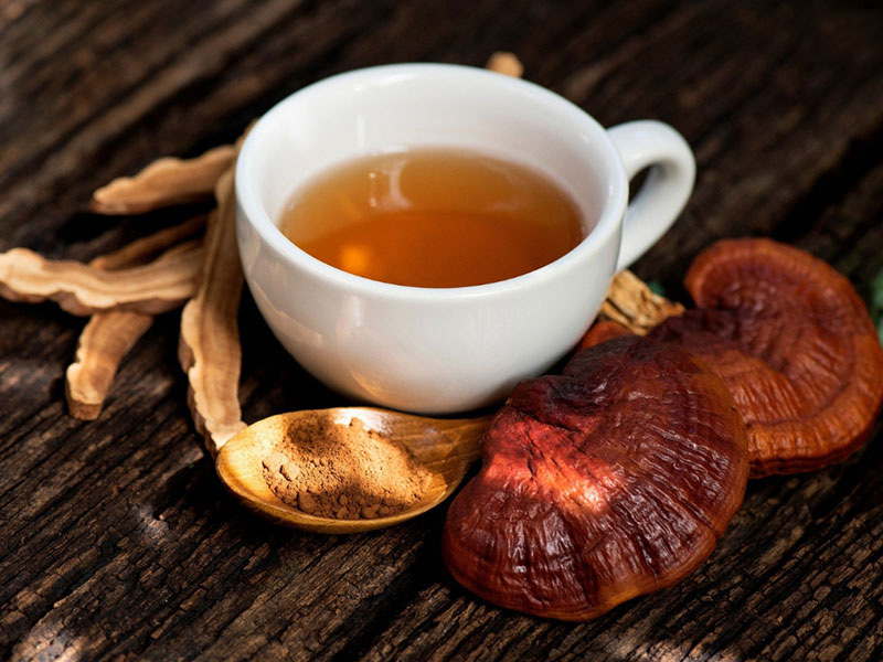 Tác Dụng Của Nấm Linh Chi Với Gan Giải Độc Và Bảo Vệ Gan